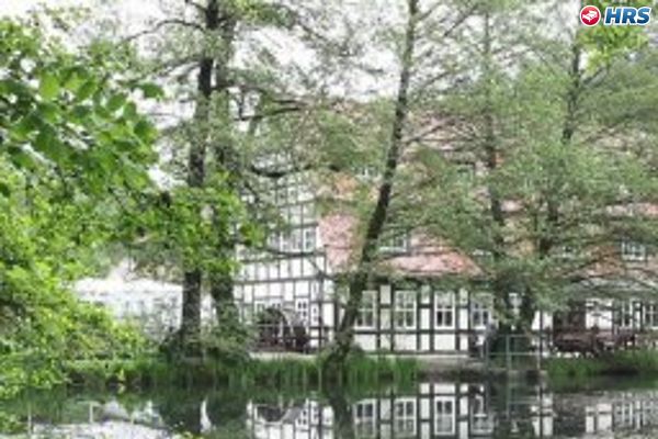Springbach-Mühle (Bad Belzig)